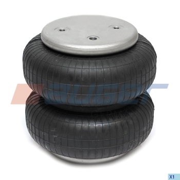 MIECH ZAWIESZENIA SCHMITZ AUGER 34222-2P