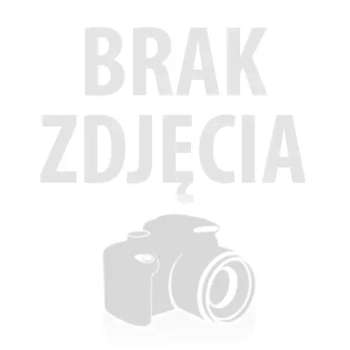 USZCZELNIACZ PIASTY TYŁ BPW AUGER 55753